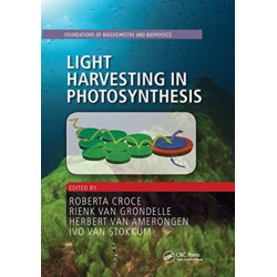 Light Harvesting in Photosynthesis