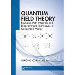 Quantum Field Theory: Feynman Path Integrals and Diagrammatic Techniques in Condensed Matter