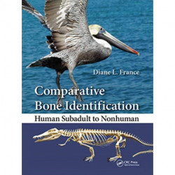 Comparative Bone Identification: Human Subadult to Nonhuman