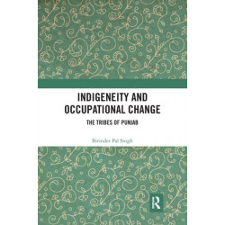 Indigeneity and Occupational Change: The Tribes of Punjab