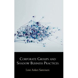 Corporate Groups and Shadow Business Practices