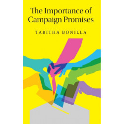 The Importance of Campaign Promises