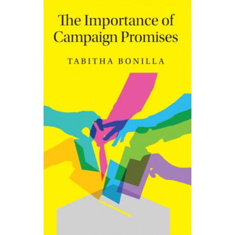 The Importance of Campaign Promises