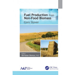 Fuel Production from Non-Food Biomass: Corn Stover