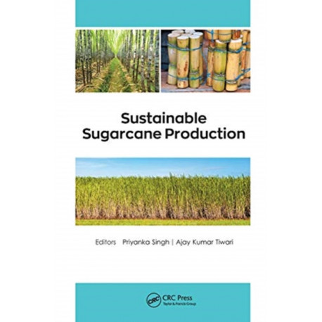 Sustainable Sugarcane Production