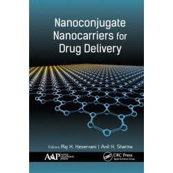 Nanoconjugate Nanocarriers for Drug Delivery