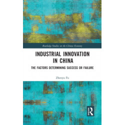 Industrial Innovation in China: The Factors Determining Success or Failure
