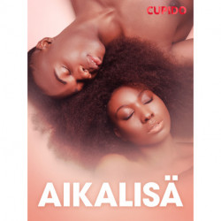Aikalisä – eroottinen novelli