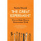 The Great Experiment: How to Make Diverse Democracies Work