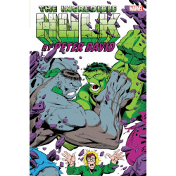 Incredible Hulk By Peter David Omnibus Vol. 2