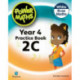 Power Maths 2nd Edition Practice Book 2C