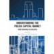 Understanding the Polish Capital Market: From Emerging to Developed