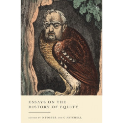 Essays on the History of Equity