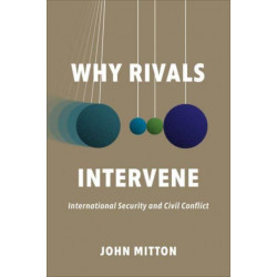 Why Rivals Intervene: International Security and Civil Conflict