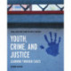 Youth, Crime, and Justice: Learning through Cases