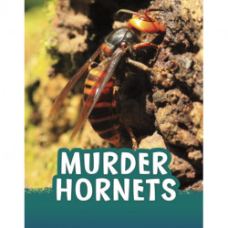 Murder Hornets