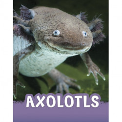 Axolotls