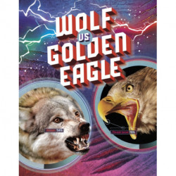 Wolf vs Golden Eagle