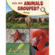 How Are Animals Grouped?