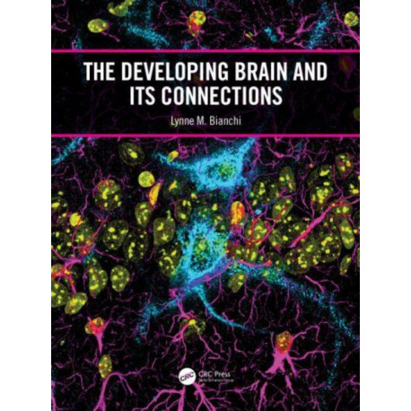 The Developing Brain and its Connections
