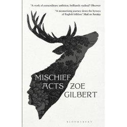 Mischief Acts: 'Joyous' THE TIMES, Best summer reads 2022