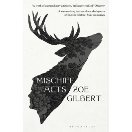 Mischief Acts: 'Joyous' THE TIMES, Best summer reads 2022