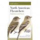 Field Guide to North American Flycatchers: Empidonax and Pewees