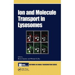 Ion and Molecule Transport in Lysosomes