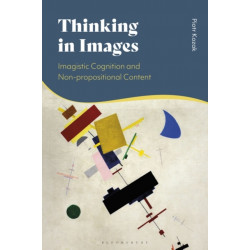 Thinking in Images: Imagistic Cognition and Non-propositional Content