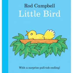 Little Bird: A fun pull-tab book for toddlers