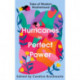 Hurricanes in Perfect Power: Tales of Modern Motherhood