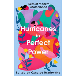 Hurricanes in Perfect Power: Tales of Modern Motherhood