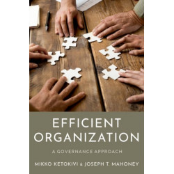 Efficient Organization: A Governance Approach