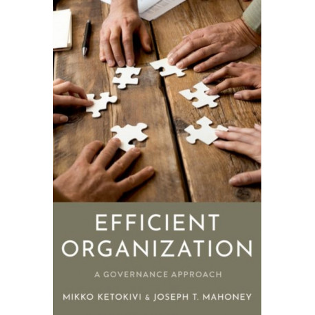 Efficient Organization: A Governance Approach