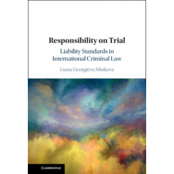 Responsibility on Trial: Liability Standards in International Criminal Law