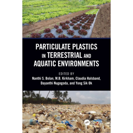 Particulate Plastics in Terrestrial and Aquatic Environments