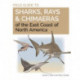 Field Guide to Sharks, Rays and Chimaeras of the East Coast of North America