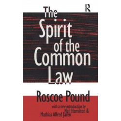The Spirit of the Common Law