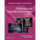 Abdomen and Superficial Structures