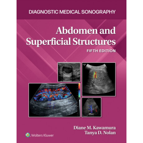 Abdomen and Superficial Structures