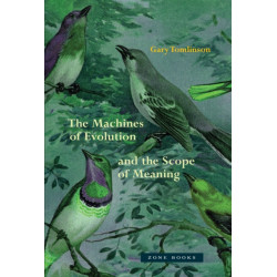 The Machines of Evolution and the Scope of Meaning