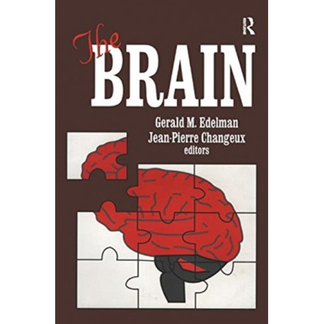 The Brain