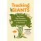Tracking Giants: Big Trees, Tiny Triumphs, and Misadventures in the Forest