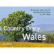 A Country Diary in Wales