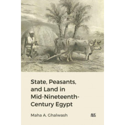 State, Peasants, and Land in Mid-Nineteenth-Century Egypt