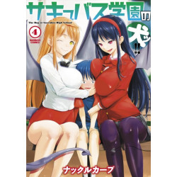 Welcome to Succubus High! Vol. 4
