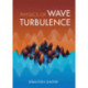 Physics of Wave Turbulence