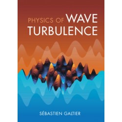 Physics of Wave Turbulence