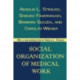 Social Organization of Medical Work