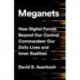 Meganets: How Digital Forces Beyond Our Control  Commandeer Our Daily Lives and Inner Realities
